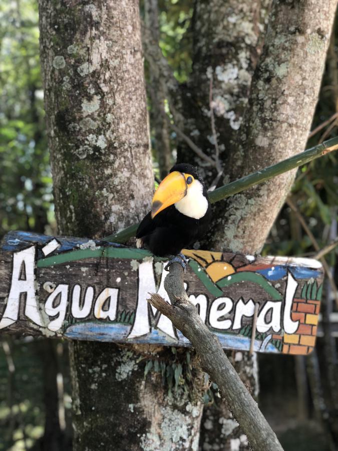Águas de Lindóia Fazenda Morro Pelado酒店 外观 照片